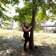 ���������� ���������, ���� ������� ���������, 39 ���, ������������ ��� ������, ����� � ���������