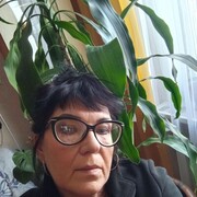  -,   , 53 ,     , c 