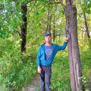 ���������� �����, ���� ������� ��������, 40 ���, ������������ ��� ������, ����� � ���������