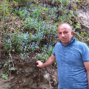  ,   Amci, 45 ,   ,   
