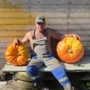 ���������� ���������, ���� ������� ������, 44 ����, ������������ ��� ������, ����� � ���������, c�������� ���������