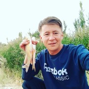 ���������� ��, ���� ������� �����, 33 ����, ������������ ��� ������, ����� � ���������, c�������� ���������