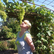 ���������� �����, ���� ������� ����, 42 ����, ������������ ��� ����� � ���������, c�������� ���������