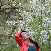 ���������� ������, ���� ������� ������, 62 ����, ������������ ��� ����� � ���������, c�������� ���������