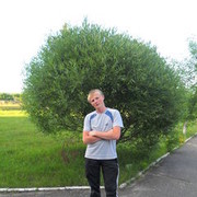  ,   , 32 ,   