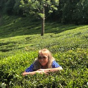  ,   , 65 ,   ,   , c 