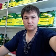  ,   Bsb, 37 ,   ,   , c 