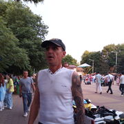  ,   , 51 ,   ,   