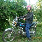  ,    VIP, 31 ,  