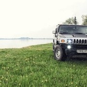  ,   Vitalik, 40 ,   