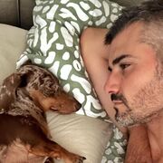 ���������� ����, ���� ������� ������, 38 ���, ������������ ��� c�������� ���������