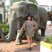 ���������� ������������, ���� ������� �����, 51 ���, ������������ ��� ������, ����� � ���������, c�������� ���������