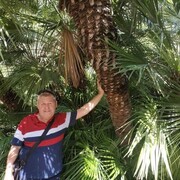  ,   , 63 ,   ,   