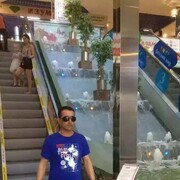  ,   , 50 ,   ,   , c , 