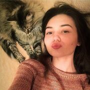 ���������� �����, �����