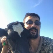 ���������� �����, ���� ������� ������, 35 ���, ������������ ��� ����� � ���������, c�������� ���������, ���������