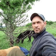  ,   , 44 ,   ,   , c , 