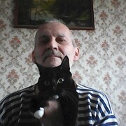   ,   , 62 ,   ,   , 