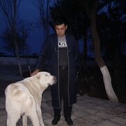 ���������� �������, ������� �����, 40