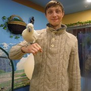 ���������� ������� �����, ���� ������� ����, 35 ���, ������������ ��� ������, ����� � ���������, c�������� ���������