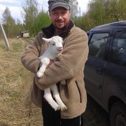 ���������� ���������, ���� ������� Platinum Cat, 50 ���, ������������ ��� ������, ����� � ���������, c�������� ���������