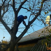 ���������� �����, ���� ������� Maxim, 35 ���, ������������ ��� ������, ����� � ���������, c�������� ���������