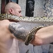 ���������� ��������, ���� ������� ����, 55 ���, ������������ ��� ������, ����� � ���������, c�������� ���������, ���������