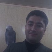 ���������� �������, ���� ������� Babur, 51 ���, ������������ ��� ������