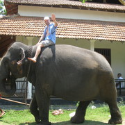 ���������� ����, ���� ������� ���������, 42 ����, ������������ ��� ������, ����� � ���������, c�������� ���������