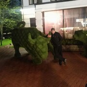 ���������� ����������, ���� ������� Abdujalil, 41 ���, ������������ ��� ������, ����� � ���������