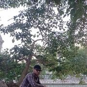  ,   , 42 ,   ,   , c 
