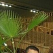  ,   Gev, 38 ,   