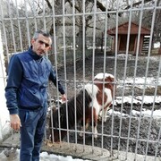 ���������� ����������, ���� ������� �����, 44 ����, ������������ ��� ������, ����� � ���������, c�������� ���������