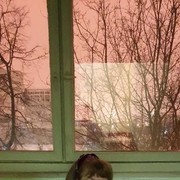 ���������� ������, ���� ������� ������, 61 ���, ������������ ��� ������, ����� � ���������, c�������� ���������