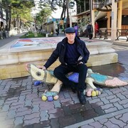  ,   , 50 ,   ,   