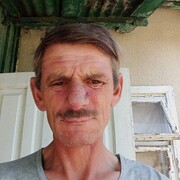  ,   , 55 ,     