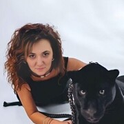  ,   , 55 ,   ,   