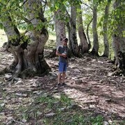 ���������� �������, ���� ������� ������, 35 ���, ������������ ��� ������, c�������� ���������, ���������