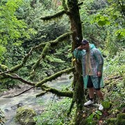 ���������� ���������, ���� ������� ������, 38 ���, ������������ ��� ������, ����� � ���������, c�������� ���������