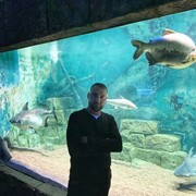 ���������� ������, ���� ������� ��������, 37 ���, ������������ ��� ������, ����� � ���������