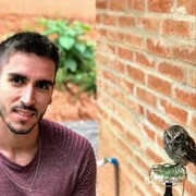 ���������� ������, ���� ������� ����, 43 ����, ������������ ��� ������, ����� � ���������, c�������� ���������