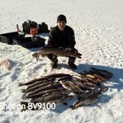  ,   , 37 ,   