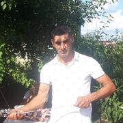  ,   Aflatun, 50 ,   ,   