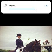 ���������� �����-���������, ���� ������� ������, 52 ����, ������������ ��� ����� � ���������, c�������� ���������