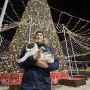 ���������� �����������, ���� ������� �������, 30 ���, ������������ ��� ����� � ���������, c�������� ���������