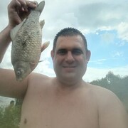 ���������� �����, ���� ������� A����, 44 ����, ������������ ��� ������, ����� � ���������, c�������� ���������, ���������