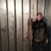 ���������� ���������, ���� ������� ������, 32 ����, ������������ ��� ������, ����� � ���������, c�������� ���������