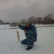 ���������� ���������, ���� ������� ������, 43 ����, ������������ ��� ������, ����� � ���������, c�������� ���������