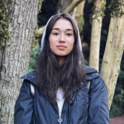 ���������� ������, ������