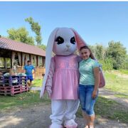  ,  , 28
